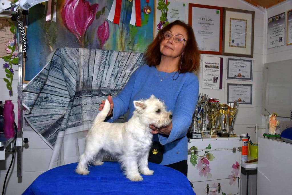 Professionelle Hundefriseurin mit eigenem Salon in Salzburg - Marina Ausweger